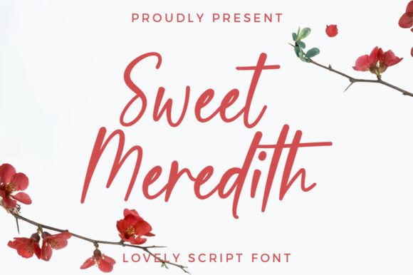 Sweet Meredith: A Modern Script Font for Editorial Design